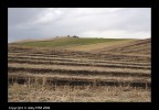 campagna pugliese campagna pugliese