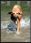 Giochi d'acqua 2 Giochi d'acqua 2