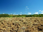 Colline nel Parmense Colline nel Parmense