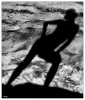 Shadow Model Shadow Model
