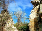 Scorcio di cielo in un vecchio rustico Scorcio di cielo in un vecchio rustico