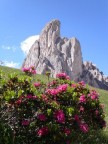 Dal Passo Giau...natura incantevole Dal Passo Giau...natura incantevole