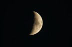 moon moon