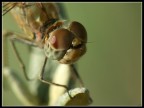 struttura struttura