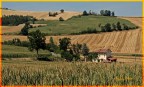 dolce campagna astigiana dolce campagna astigiana