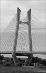 ponte ponte