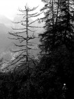 valle stregata valle stregata