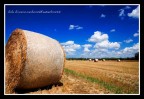 Balle di fieno 1