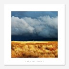 Tree of Light Tree of Light