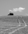 In cima.....il Trattore! In cima.....il Trattore!