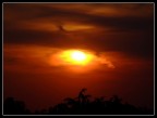 L'occhio del cielo L'occhio del cielo