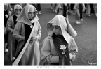 Boccioli di Rosa Boccioli di Rosa