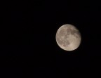 MoOn MoOn