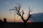 Natura morta Sole Natura morta Sole