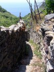 Cinque Terre - Sentiero che porta al mare

Suggerimenti e critiche sempre ben accetti