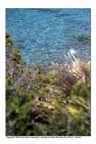 Voglia di mare Voglia di mare
