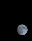 Moon Moon