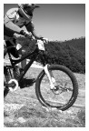 Bici Bici