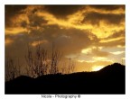 Alba Dorata Alba Dorata