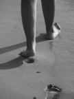Le orme Le orme