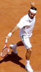 federer federer