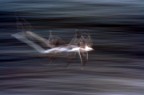 Jonathan Livingston Jonathan Livingston