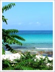 Paradise2 Paradise2