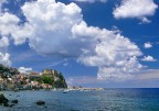 Scilla Scilla