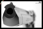 Desert Eagle Desert Eagle