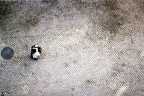 metafisica urbana metafisica urbana