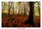 Autumn is coming Autumn is coming