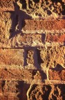 Muro Muro