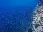 E l'urtimo paga pure de magnàààààààààààààà E l'urtimo paga pure de magnàààààààààààààà