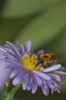 spuntino dopo la doccia