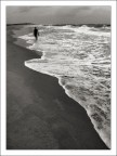 profumo di mare profumo di mare
