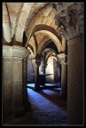Crypta Crypta