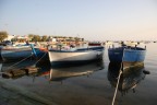 Porto Cesario Porto Cesario