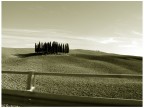 istantanea di viaggio istantanea di viaggio