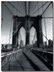 NEW YORK NEW YORK