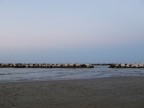 Mare Senigallia Mare Senigallia