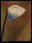 Luci e ombre