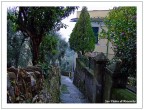 L'odore del bagnato... L'odore del bagnato...