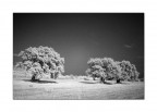 Ir Test No4 Ir Test No4