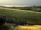 toscana luglio 2006 toscana luglio 2006