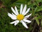 Natura1 Natura1
