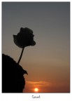 Sunset Sunset