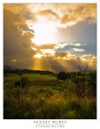 Sunset Burst Sunset Burst