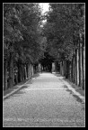 The Road Goes Ever On... The Road Goes Ever On...