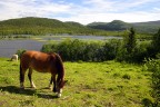 Norway 01 Norway 01