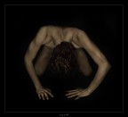 ego #6 ego #6